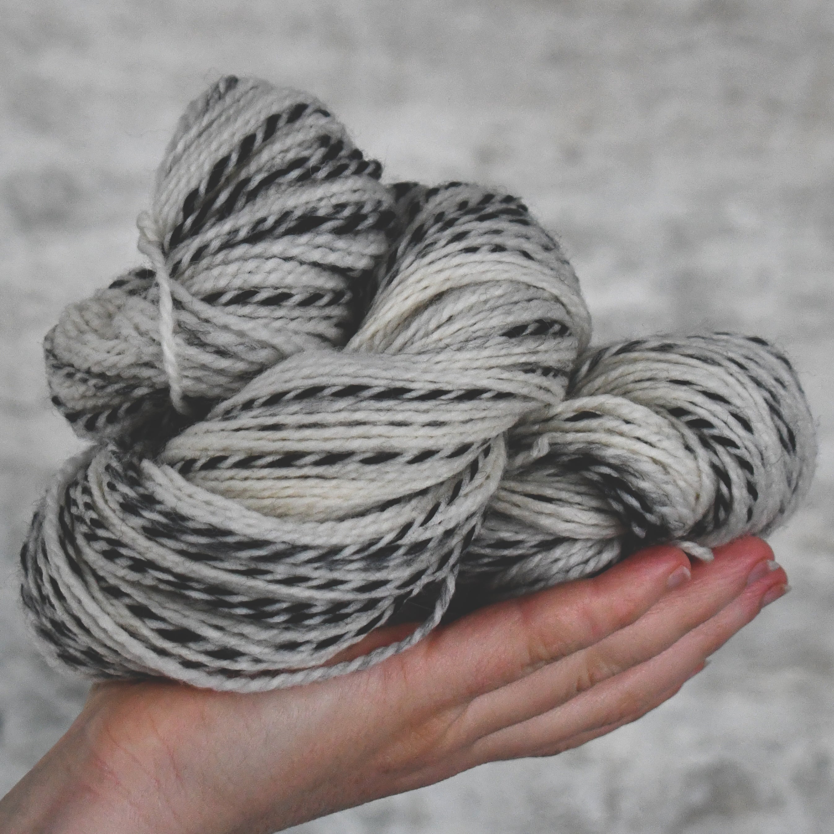 49213 Zebra DK – Chester Wool Company