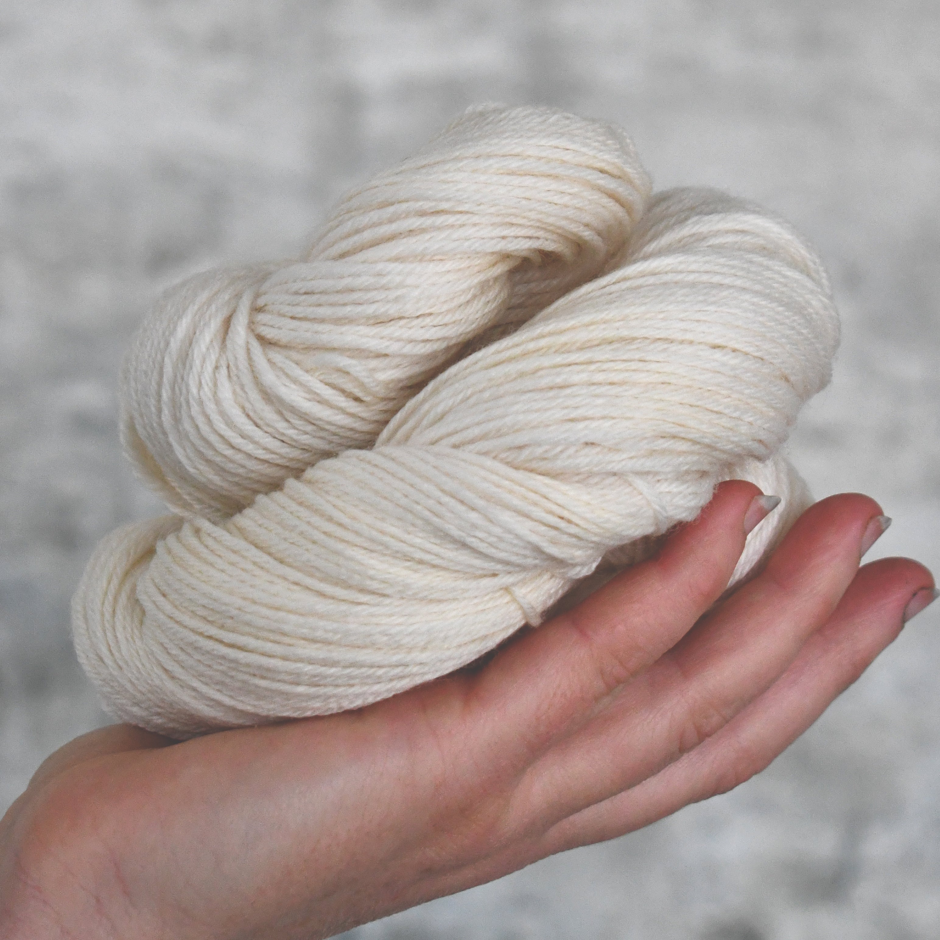 49103PC Bluefaced Sport 262