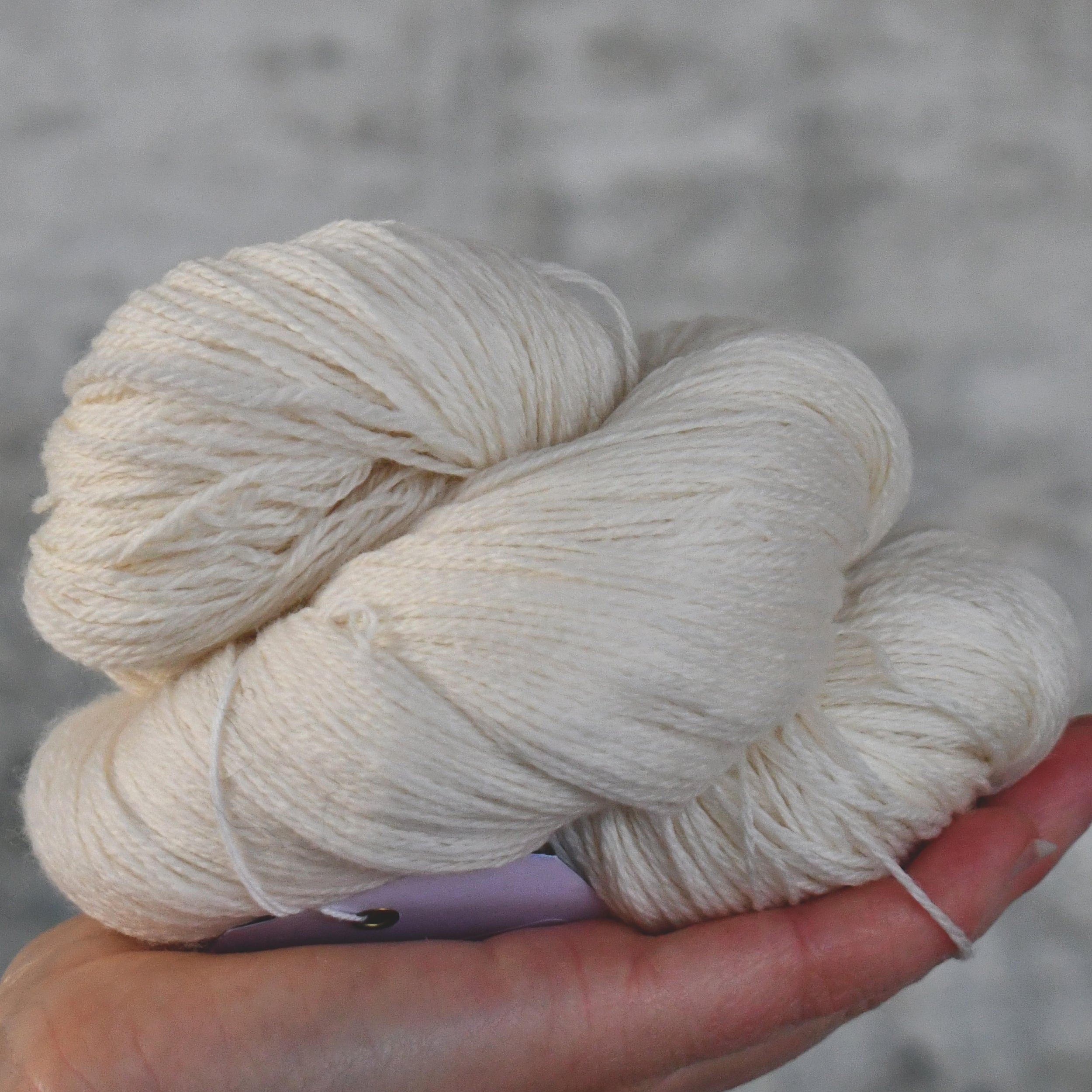 49169 Merino 500
