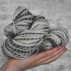 49213 Zebra DK