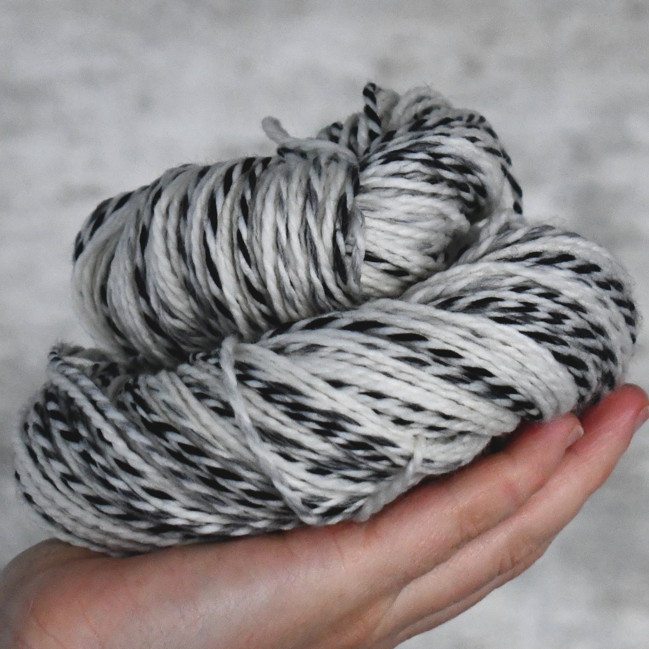 49222 SW Zebra DK