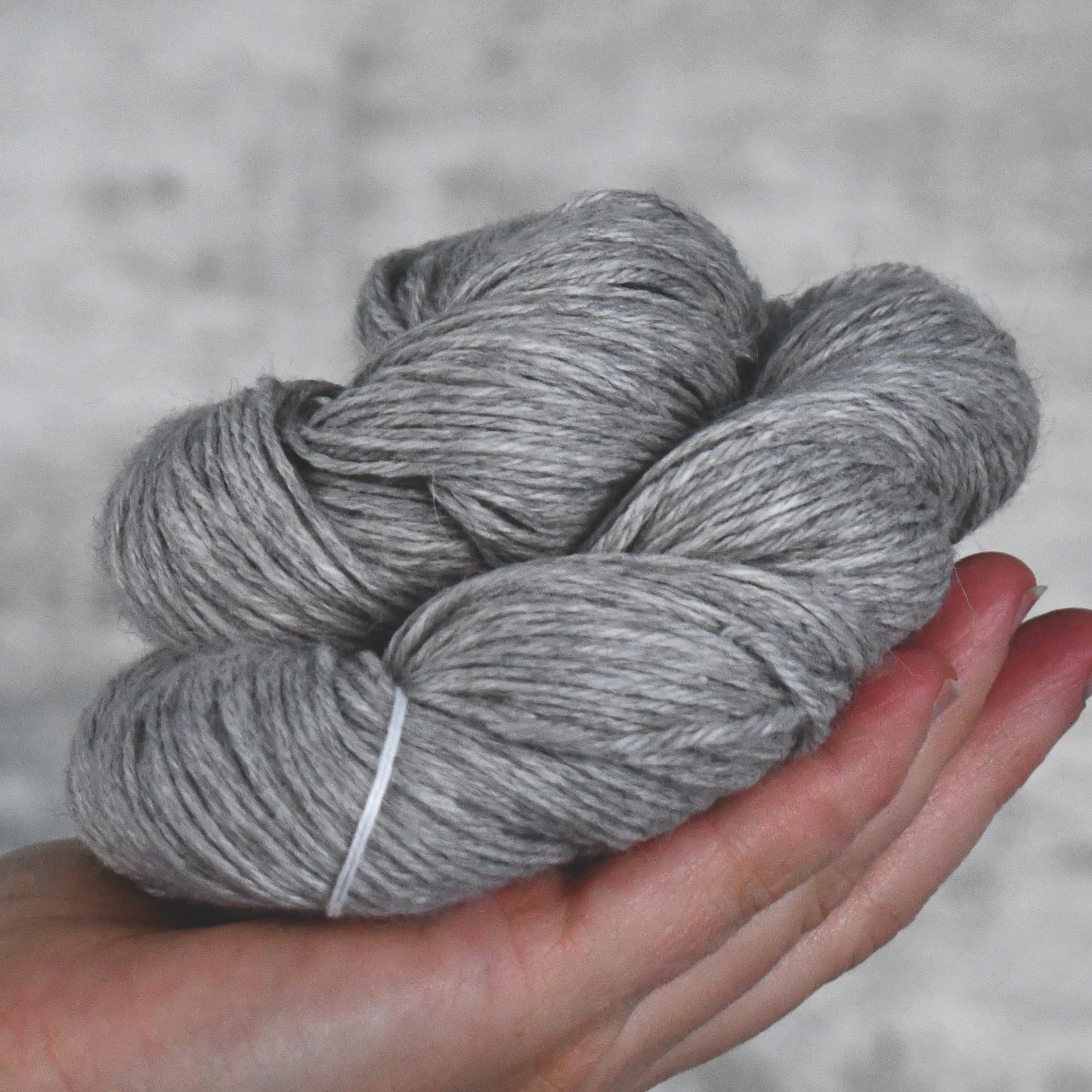 49231 Angel Mist DK
