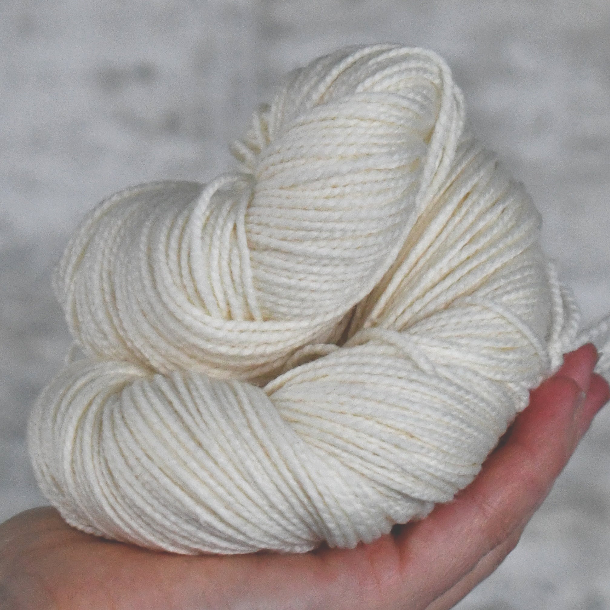 49239 SW Falkland DK HT