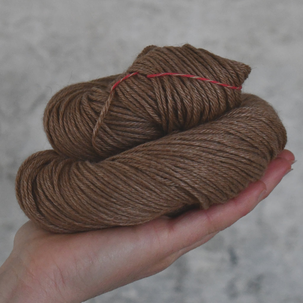 49254 Angel Adular DK