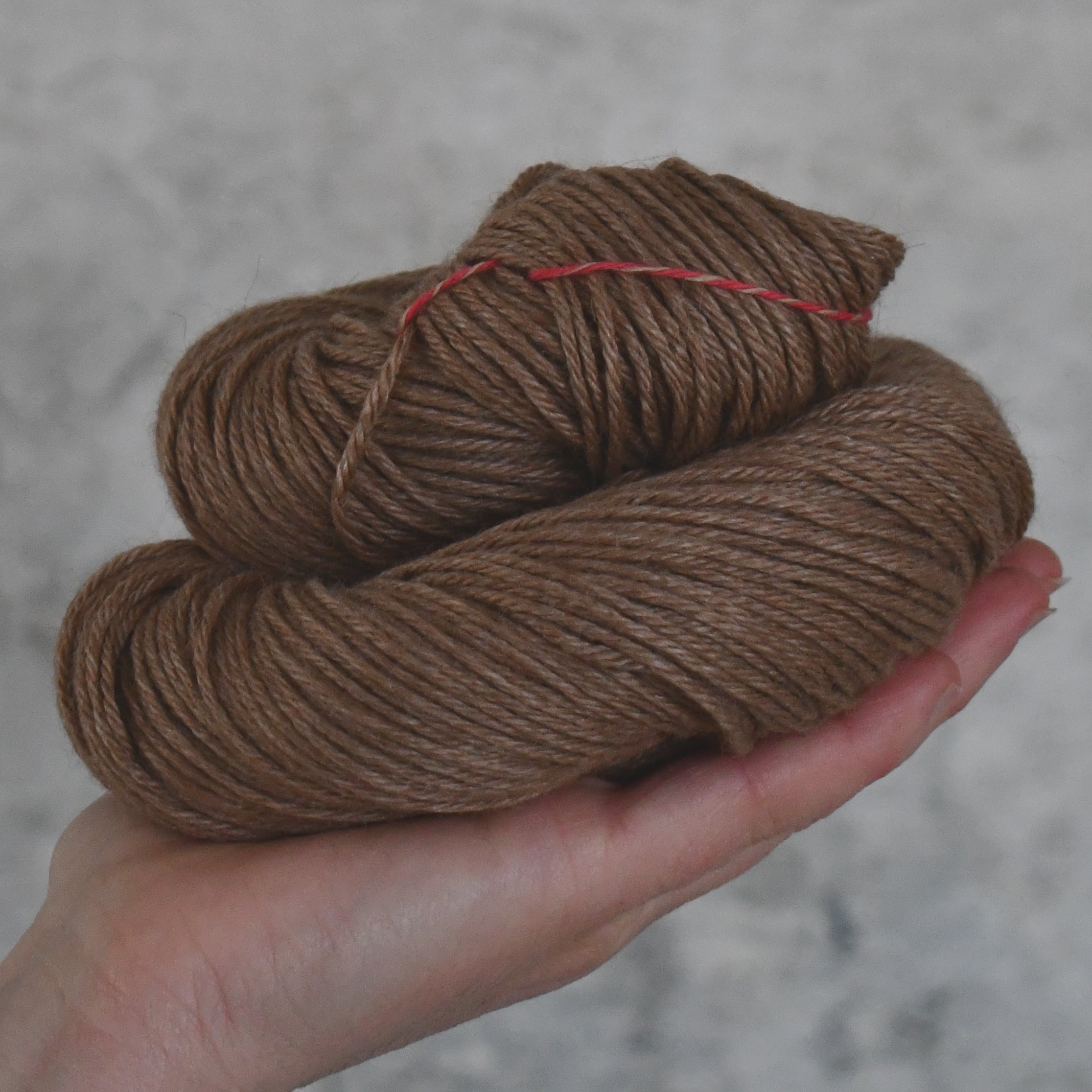 49254 Angel Adular DK