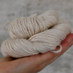49317 Angel Aran