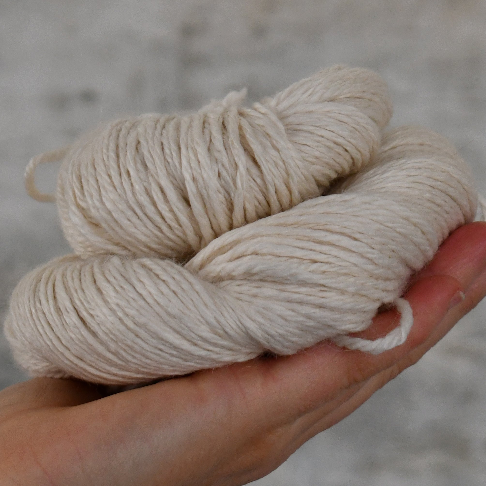 49317 Angel Aran